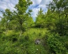 Lot 4 Iron Horse Lane, Dryfork, West Virginia 26263, ,Lots/land,For Sale,Iron Horse,10165302