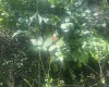 34 Sandy Beach Road, Fairmont, West Virginia 26554, ,Lots/land,For Sale,Sandy Beach,10165335