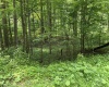 1168 Heaston Ridge Road, Crawford, West Virginia 26343, ,Lots/land,For Sale,Heaston Ridge,10165331