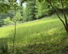 1168 Heaston Ridge Road, Crawford, West Virginia 26343, ,Lots/land,For Sale,Heaston Ridge,10165331