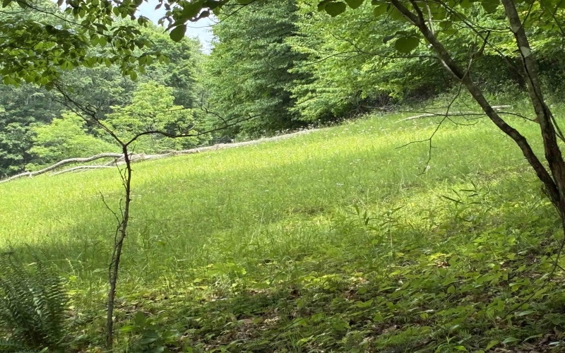 1168 Heaston Ridge Road, Crawford, West Virginia 26343, ,Lots/land,For Sale,Heaston Ridge,10165331