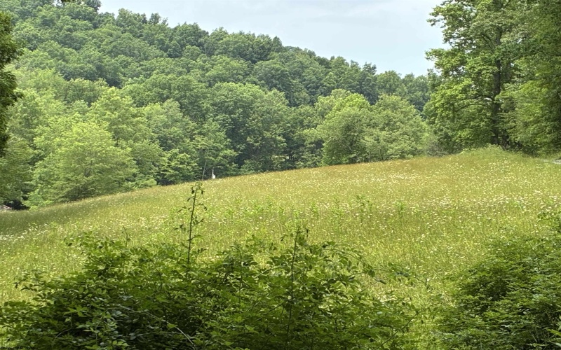 1168 Heaston Ridge Road, Crawford, West Virginia 26343, ,Lots/land,For Sale,Heaston Ridge,10165331