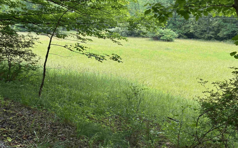 1168 Heaston Ridge Road, Crawford, West Virginia 26343, ,Lots/land,For Sale,Heaston Ridge,10165331