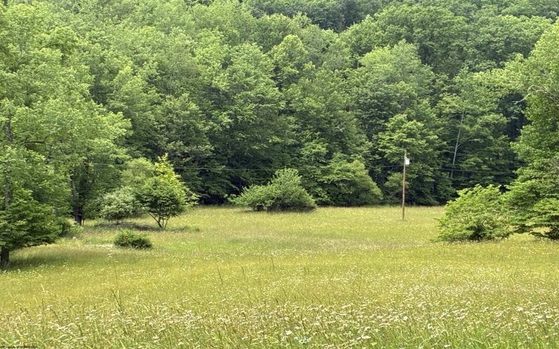 1168 Heaston Ridge Road, Crawford, West Virginia 26343, ,Lots/land,For Sale,Heaston Ridge,10165331