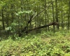1168 Heaston Ridge Road, Crawford, West Virginia 26343, ,Lots/land,For Sale,Heaston Ridge,10165331