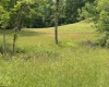1168 Heaston Ridge Road, Crawford, West Virginia 26343, ,Lots/land,For Sale,Heaston Ridge,10165331