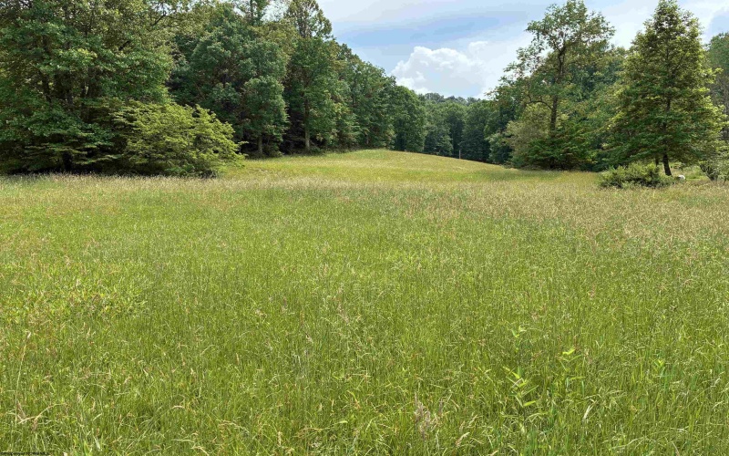 1168 Heaston Ridge Road, Crawford, West Virginia 26343, ,Lots/land,For Sale,Heaston Ridge,10165331
