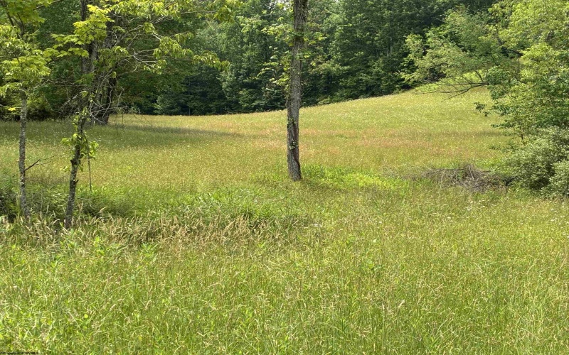 1168 Heaston Ridge Road, Crawford, West Virginia 26343, ,Lots/land,For Sale,Heaston Ridge,10165331