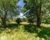214 Bortz Road, Point Marion, Pennsylvania 15474, 3 Bedrooms Bedrooms, 7 Rooms Rooms,2 BathroomsBathrooms,Single Family Detached,For Sale,Bortz,10165336