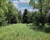 Lot 64 Venice Place, Davis, West Virginia 26260, ,Lots/land,For Sale,Venice,10165354