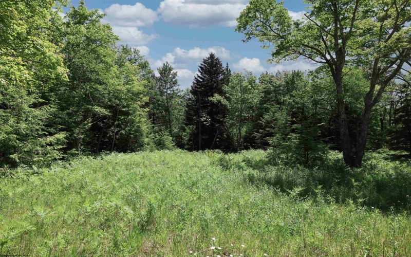 Lot 64 Venice Place, Davis, West Virginia 26260, ,Lots/land,For Sale,Venice,10165354