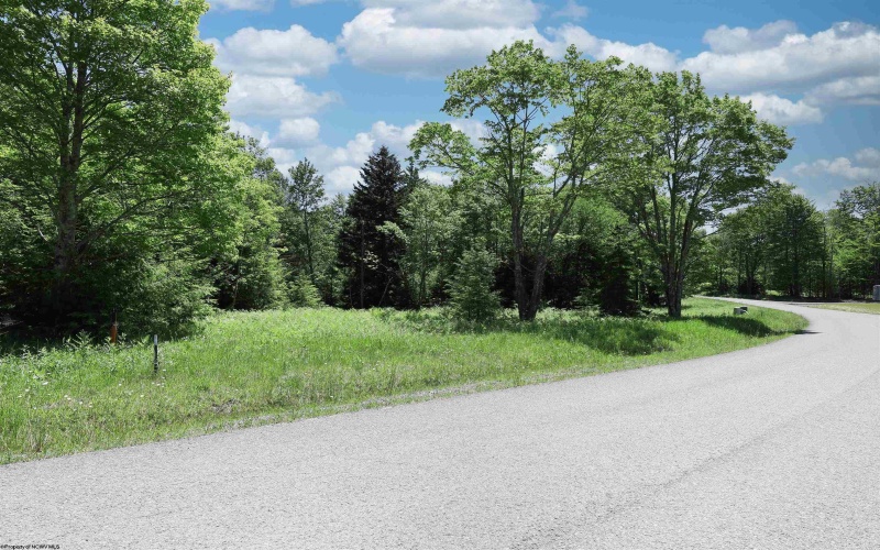 Lot 64 Venice Place, Davis, West Virginia 26260, ,Lots/land,For Sale,Venice,10165354