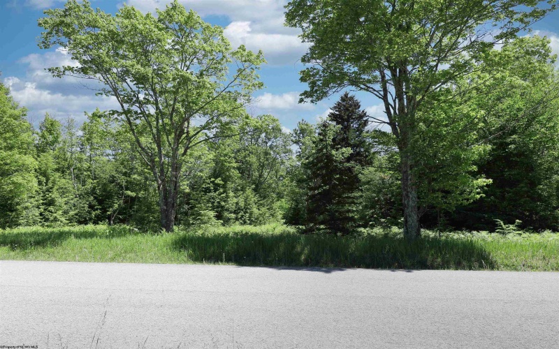 Lot 64 Venice Place, Davis, West Virginia 26260, ,Lots/land,For Sale,Venice,10165354