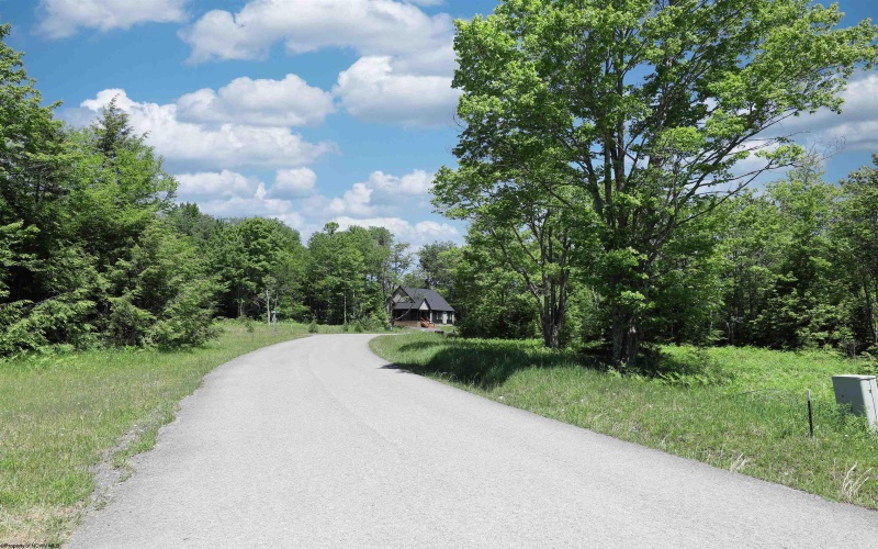 Lot 64 Venice Place, Davis, West Virginia 26260, ,Lots/land,For Sale,Venice,10165354