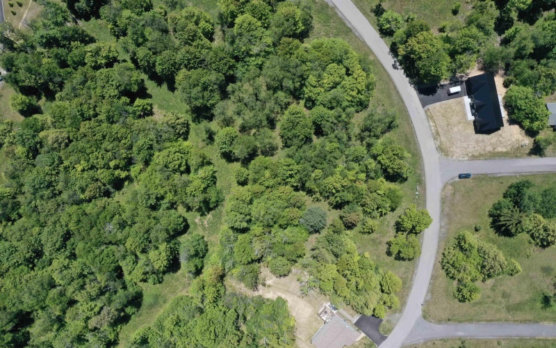Lot 64 Venice Place, Davis, West Virginia 26260, ,Lots/land,For Sale,Venice,10165354