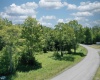 Lot 64 Venice Place, Davis, West Virginia 26260, ,Lots/land,For Sale,Venice,10165354