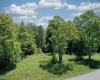 Lot 64 Venice Place, Davis, West Virginia 26260, ,Lots/land,For Sale,Venice,10165354