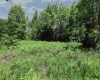 Lot 64 Venice Place, Davis, West Virginia 26260, ,Lots/land,For Sale,Venice,10165354