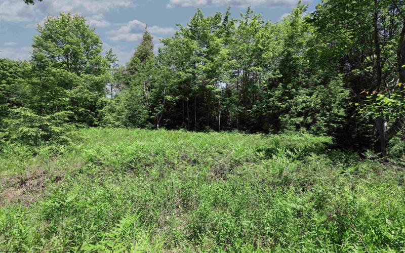 Lot 64 Venice Place, Davis, West Virginia 26260, ,Lots/land,For Sale,Venice,10165354