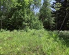 Lot 64 Venice Place, Davis, West Virginia 26260, ,Lots/land,For Sale,Venice,10165354
