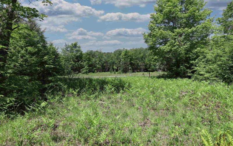 Lot 64 Venice Place, Davis, West Virginia 26260, ,Lots/land,For Sale,Venice,10165354