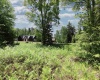 Lot 64 Venice Place, Davis, West Virginia 26260, ,Lots/land,For Sale,Venice,10165354