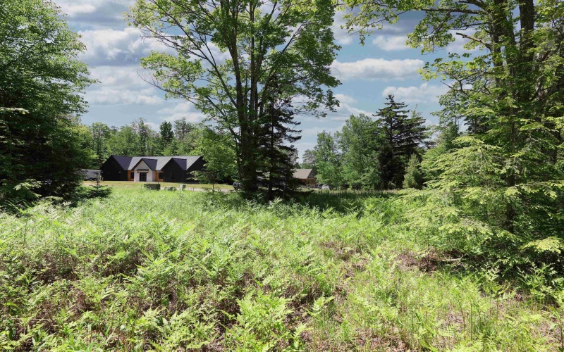 Lot 64 Venice Place, Davis, West Virginia 26260, ,Lots/land,For Sale,Venice,10165354