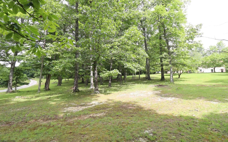 523 Ebberman Creek, Elkins, West Virginia 26241, 4 Bedrooms Bedrooms, 9 Rooms Rooms,2 BathroomsBathrooms,Single Family Detached,For Sale,Ebberman,10165352 523 Ebberman Creek, Elkins, West Virginia 26241, 4 Bedrooms Bedrooms, 9 Rooms Rooms,2 BathroomsBathrooms,Single Family Detached,For Sale,Ebberman,10165352