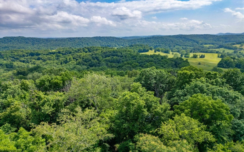 00 Pheasant Ridge Road, Bridgeport, West Virginia 26330, ,Lots/land,For Sale,Pheasant Ridge,10165357