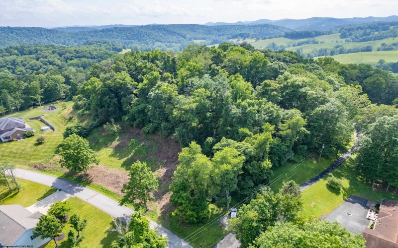 00 Pheasant Ridge Road, Bridgeport, West Virginia 26330, ,Lots/land,For Sale,Pheasant Ridge,10165357