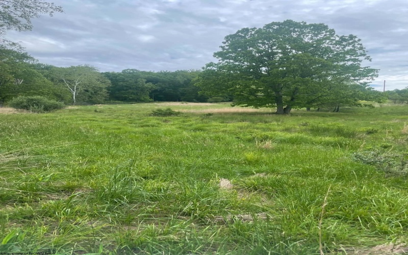 96 Rock Lake Road, Fairmont, West Virginia 26554, ,Lots/land,For Sale,Rock Lake,10165372 96 Rock Lake Road, Fairmont, West Virginia 26554, ,Lots/land,For Sale,Rock Lake,10165372