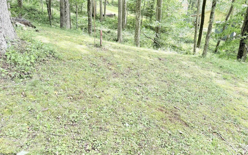 118 Blue Grouse Lane, Montrose, West Virginia 26283, 1 Bedroom Bedrooms, 4 Rooms Rooms,1 BathroomBathrooms,Single Family Detached,For Sale,Blue Grouse,10165374