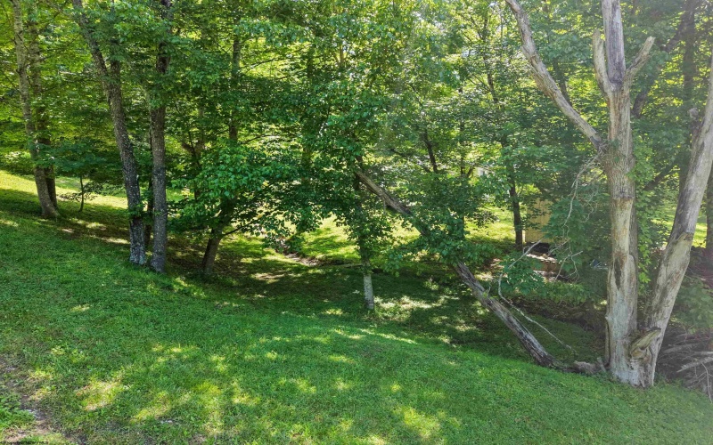 447 Dogwood Trail, Napier, West Virginia 26631, 2 Bedrooms Bedrooms, 5 Rooms Rooms,1 BathroomBathrooms,Single Family Detached,For Sale,Dogwood,10165390