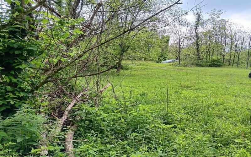 0 Meathouse Fork Road, New Milton, West Virginia 26411, ,Lots/land,For Sale,Meathouse Fork,10165409