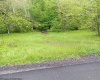 0 Meathouse Fork Road, New Milton, West Virginia 26411, ,Lots/land,For Sale,Meathouse Fork,10165409