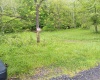 0 Meathouse Fork Road, New Milton, West Virginia 26411, ,Lots/land,For Sale,Meathouse Fork,10165409