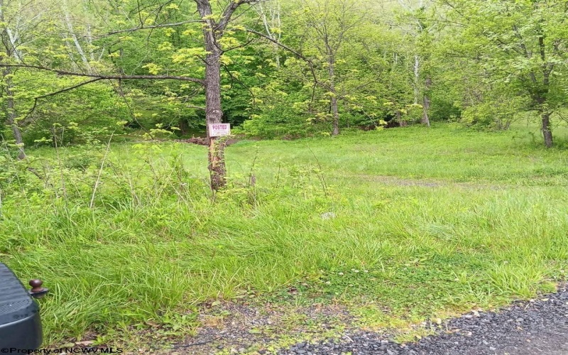 0 Meathouse Fork Road, New Milton, West Virginia 26411, ,Lots/land,For Sale,Meathouse Fork,10165409