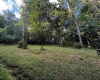 300 Lakeside Drive, Horner, West Virginia 26372, ,Lots/land,For Sale,Lakeside,10165436