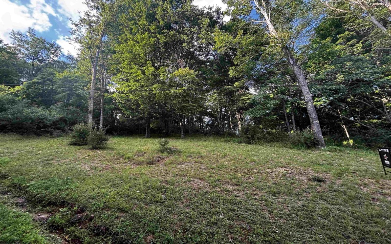 300 Lakeside Drive, Horner, West Virginia 26372, ,Lots/land,For Sale,Lakeside,10165436
