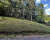 300 Lakeside Drive, Horner, West Virginia 26372, ,Lots/land,For Sale,Lakeside,10165436