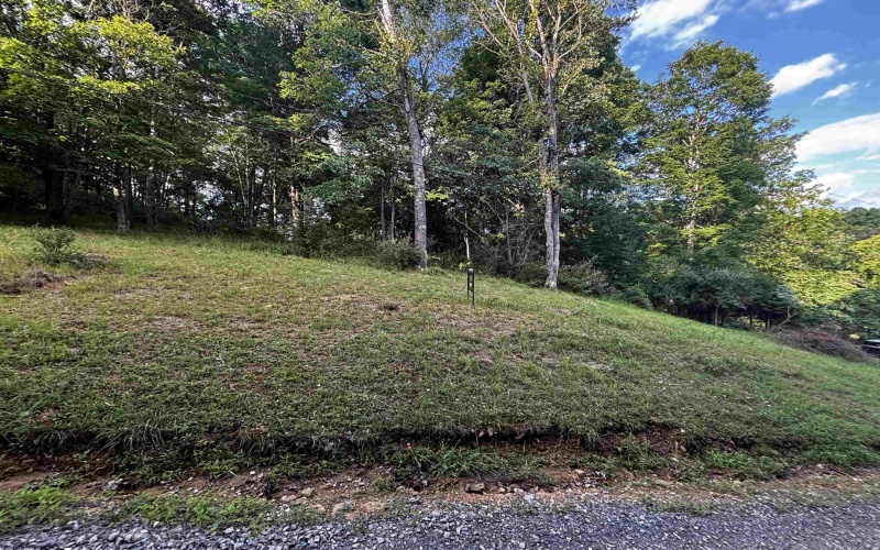 300 Lakeside Drive, Horner, West Virginia 26372, ,Lots/land,For Sale,Lakeside,10165436