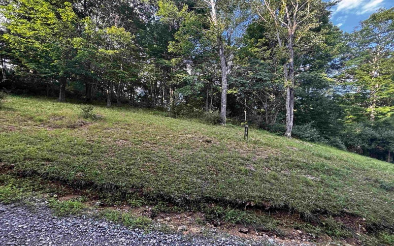 300 Lakeside Drive, Horner, West Virginia 26372, ,Lots/land,For Sale,Lakeside,10165436