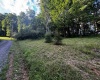 300 Lakeside Drive, Horner, West Virginia 26372, ,Lots/land,For Sale,Lakeside,10165436