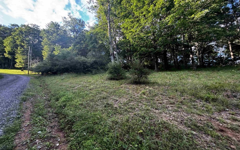 300 Lakeside Drive, Horner, West Virginia 26372, ,Lots/land,For Sale,Lakeside,10165436