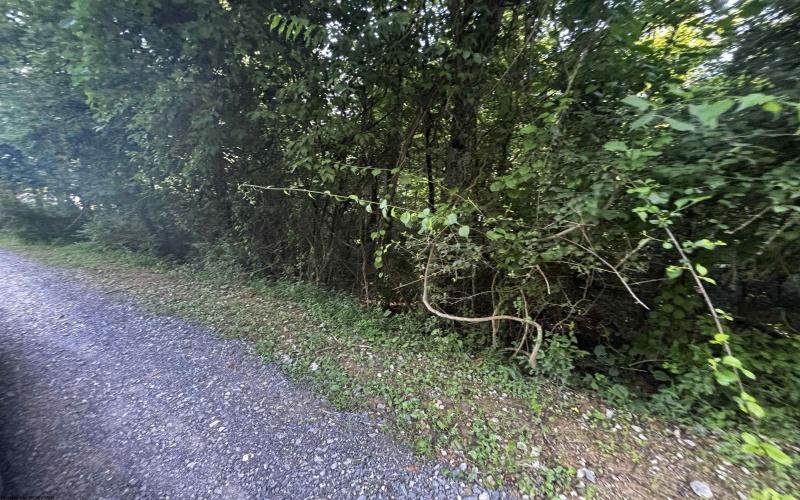 300 Lakeside Drive, Horner, West Virginia 26372, ,Lots/land,For Sale,Lakeside,10165436