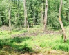 TBD Eagles Nest Road, Bruceton Mills, West Virginia 26525, ,Lots/land,For Sale,Eagles Nest,10165422
