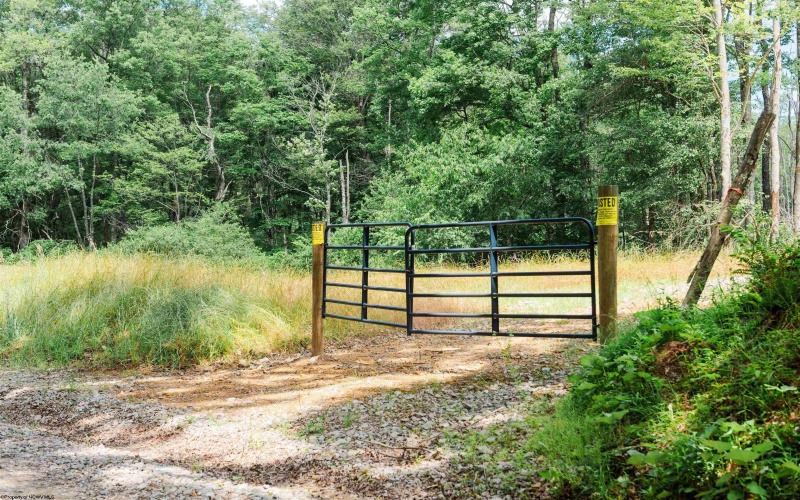 TBD Eagles Nest Road, Bruceton Mills, West Virginia 26525, ,Lots/land,For Sale,Eagles Nest,10165422