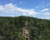 TBD Eagles Nest Road, Bruceton Mills, West Virginia 26525, ,Lots/land,For Sale,Eagles Nest,10165422