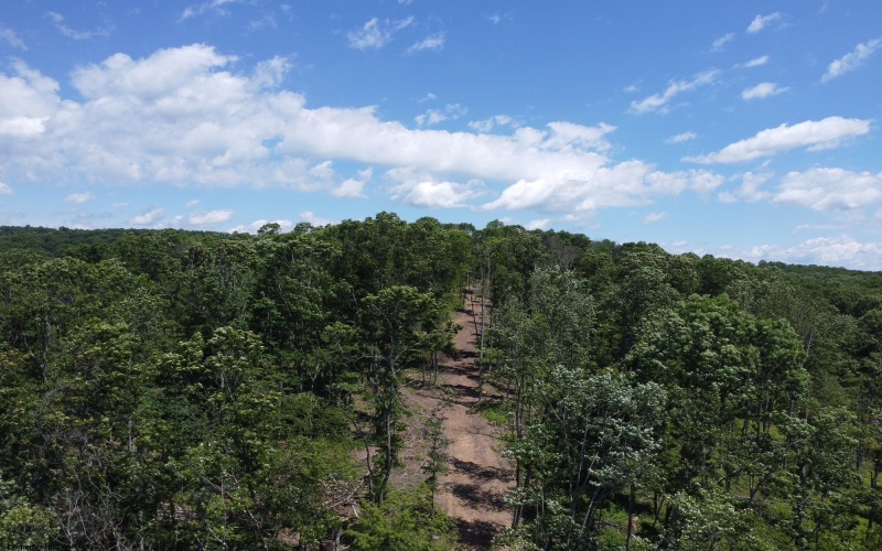 TBD Eagles Nest Road, Bruceton Mills, West Virginia 26525, ,Lots/land,For Sale,Eagles Nest,10165422