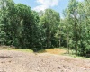 TBD Eagles Nest Road, Bruceton Mills, West Virginia 26525, ,Lots/land,For Sale,Eagles Nest,10165422